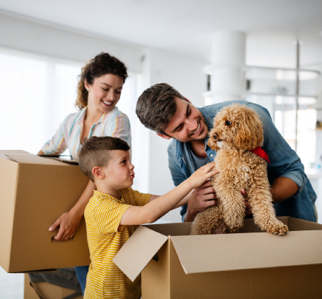 Mortgage Loans